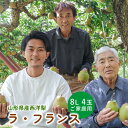 【ふるさと納税】【超 大玉 8L サイズ!!】ラ・フランス 4玉 ご家庭用 山形県 上山市 0078-2509