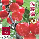 24位! 口コミ数「0件」評価「0」さくらんぼ 佐藤錦 900g以上 秀品 山形県 上山市 0079-2401