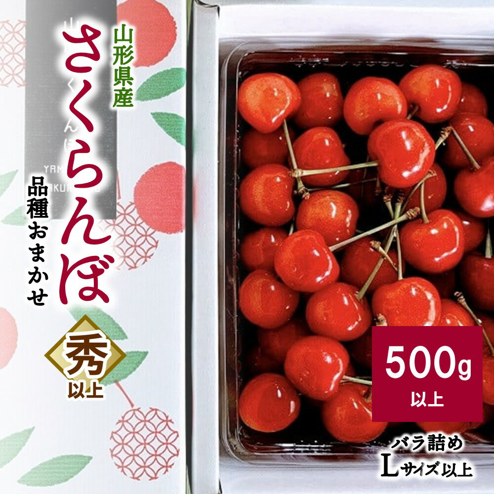 さくらんぼ ( 品種おまかせ ) 500g以上 山形県 上山市