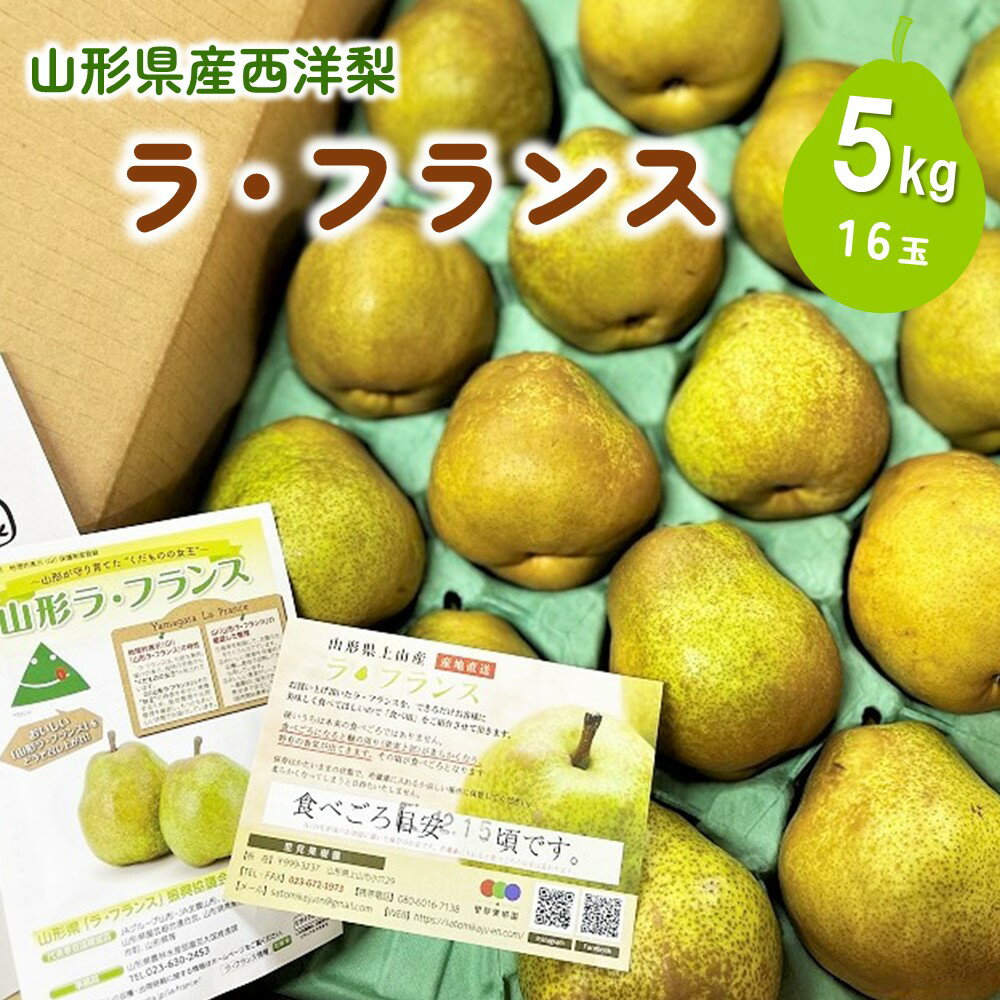 西洋梨 ラ・フランス 5kg 16玉 3L サイズ 秀品 果物 フルーツ 産地直送 山形 お取り寄せ 送料無料 山形県 上山市 0079-2408