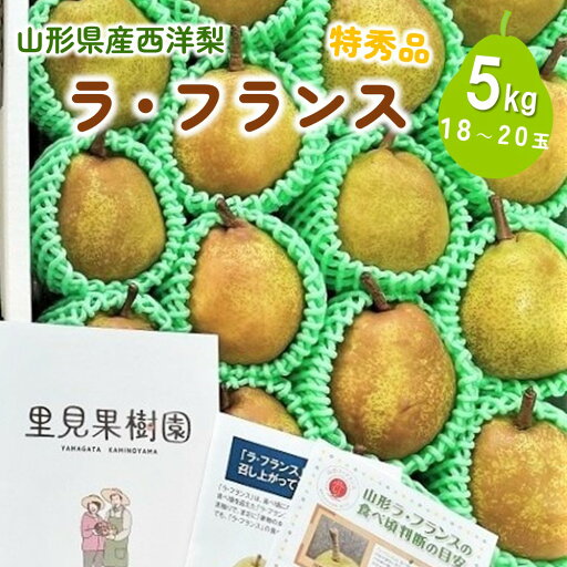 【ふるさと納税】西洋梨 ラ・フランス 5kg 18~20玉 特秀品 果物 フルーツ 産地直送 山形 お取り寄せ 送料無料 山形県 上山市 0079-2518 【ふるさと納税】西洋梨 ラ・フランス 5kg 18~20玉 特秀品 果物 フルーツ 産地直送 山形 お取り寄せ 送料無料 山形県 上山市 0079-2518