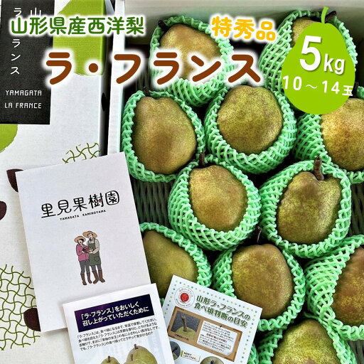 【ふるさと納税】西洋梨 ラ・フランス 5kg 10~14玉 特秀品 果物 フルーツ 産地直送 山形 お取り寄せ 送料無料 山形県 上山市 0079-2520 【ふるさと納税】西洋梨 ラ・フランス 5kg 10~14玉 特秀品 果物 フルーツ 産地直送 山形 お取り寄せ 送料無料 山形県 上山市 0079-2520