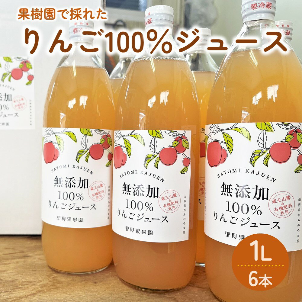 里見果樹園で採れたりんご100%ジュース 1L 6本セット りんごジュース 果物 フルーツ ドリンク お取り寄せ 送料無料 山形県 上山市