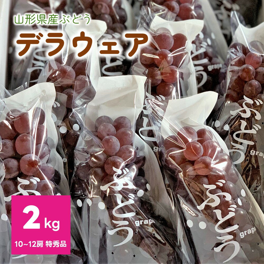 ぶどう デラウェア 特秀品 10〜12房 2kg 箱 満杯詰め 糖度18度以上 山形県 上山市