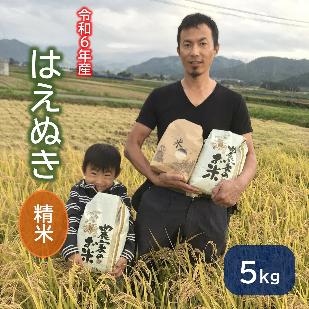 [2024年11月〜発送]令和6年産 はえぬき (精米) 5kg 米 白米 山形 産地直送 お取り寄せ 送料無料 2024年産 山形県 上山市