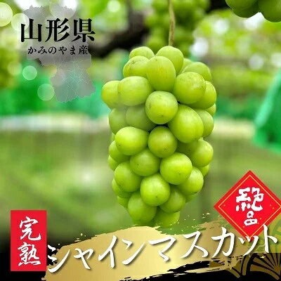 【ふるさと納税】大粒シャインマスカット 1房 800g以上 秀品以上 フルーツ ぶどう 山形県 上山市 0079-2510