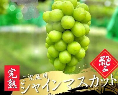 【ふるさと納税】シャインマスカット 3〜5房 合計1.8kg以上 ご家庭用 フルーツ ぶどう 山形県 上山市 0079-2511