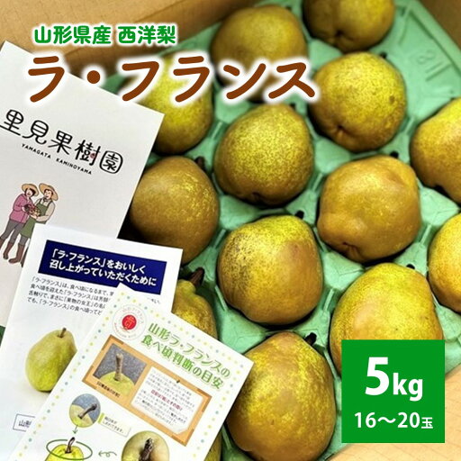 【ふるさと納税】西洋梨 ラ・フランス 5kg 16~20玉 3L~L サイズ 秀品 果物 フルーツ お取り寄せ 送料無料 産地直送 山形県 上山市 0079-2516 【ふるさと納税】西洋梨 ラ・フランス 5kg 16~20玉 3L~L サイズ 秀品 果物 フルーツ お取り寄せ 送料無料 産地直送 山形県 上山市 0079-2516