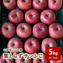 【ふるさと納税】有機肥料栽培 葉とらずサンふじ 上山市産 5kg 18~25玉 秀品 りんご 山形県 上山市 0079-2523(4)