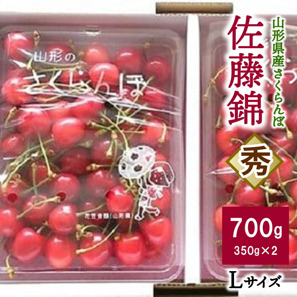 さくらんぼ 佐藤錦 700g 秀品 Lサイズ ( 350g × 2パック ) バラ詰め ギフト 贈り物 贈答品 フルーツ 果物 お取り寄せグルメ 冷蔵配送 東北 山形県 上山市