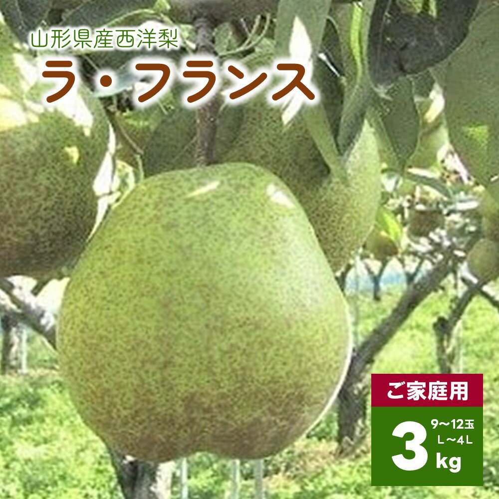 西洋梨 （ ラ・フランス ）3kg ご家庭用 L～4L サイズ 12～9玉 不揃い 果物 フルーツ 洋梨 お取り寄せ 産地直送 送料無料 山形県 上山市 0089-2401