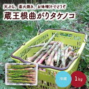 商品詳細 根曲がりタケノコ（月山系）を栽培しています。 険しい山で育つため収穫に苦労しますので、地元でも大変貴重です。 皮をむくと食べる部分が少量ですが、タケノコ特有のえぐみが少なく、サクサクとした食感と甘みが感じられます。 地元では、根曲がりタケノコを鯖缶を入れた味噌汁で味わっています。 他にも、天ぷら・直火焼き・お味噌汁などで美味しくお召し上がりいただけます。 ※沖縄および離島への発送はできません。 【配送に関する注意事項】 ※配送日、配送時期、配達曜日などのご要望はお受けできません。 ※出荷通知メールをご確認ください。出荷より最短でのお受取りにご協力をお願いいたします。 ※不在や転居がある場合、返礼品事務局へご連絡ください。お品物により、GWやお盆、年末年始等の連休も配送いたします。 ※不在、転居、申込不備など、寄附者様のご事情により受取りが遅れたり、お礼品が返品されたりした場合、再送対応はできません。 ※同日のお申込みでも出荷日が異なる場合がございます。 ※ご不在時の置き配や宅配ボックスへの配達、ご要望はお受けできません。 商品説明 名称 蔵王根曲がりタケノコ　1kg 内容 蔵王根曲がりタケノコ　1kg アレルギー 特定原材料8品目は使用していません 特定原材料に準ずるもの20品目は使用していません 発送時期 2024年5月上旬～5月中旬迄 賞味期限 発送日含め5日 ※受取後、すぐにお礼品の状態をご確認ください。 ※到着後は早めにお召し上がりください。 ※筍の元の節は硬いので取り除いてください。詳細は同梱の食べ方を記載した用紙をご覧ください。 発送種別 冷蔵 備考 ※画像はイメージです。 ※天候により出荷時期や規格を変更する場合がございます。 販売者 堀野 和弘 ・ふるさと納税よくある質問はこちら ・寄付申込みのキャンセル、返礼品の変更・返品はできません。あらかじめご了承ください。■受領証明書及びワンストップ申請書のお届けについて 受領書とワンストップ申請書については、自治体概要のページ（配送について）をご覧ください。