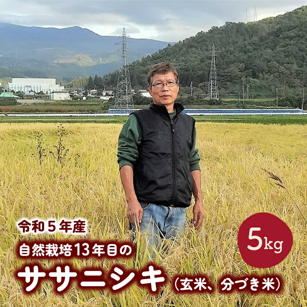 【ふるさと納税】令和5年産 自然栽培 13年目 の ササニシキ 玄米 分づき米 5kg ささにしき ブランド米 お米 白米 ご飯 ごはん 一人暮らし 少人数 お取り寄せグルメ 15000円 東北 山形県 上山市 0098-2302