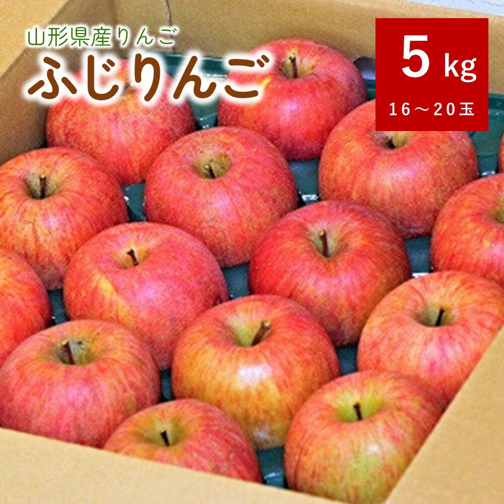 10位! 口コミ数「0件」評価「0」 りんご ( ふじ ) 5kg ご家庭用 山形県 上山市 0101-2401