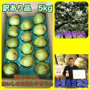 【ふるさと納税】ラ・フランス 5kg ご家庭用 20玉~10玉 L~6L サイズ 訳あり 不揃い 傷 フルーツ 果物 洋梨 山形県 上山市 0102-2505