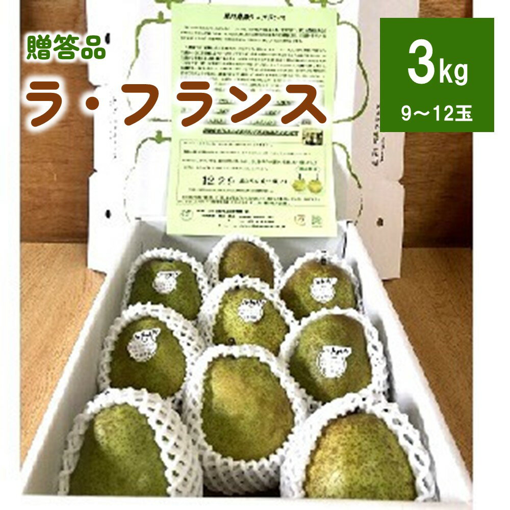 【ふるさと納税】ラ・フランス 3kg 贈答品 果物 フルーツ お取り寄せ 産地直送 送料無料 山形県 上山市 0102-2404