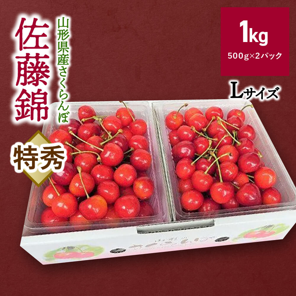 【ふるさと納税】さくらんぼ 佐藤錦 1kg 特秀品 Lサイズ