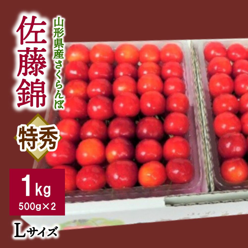 【ふるさと納税】さくらんぼ 佐藤錦 1kg 特秀品 Lサイズ （ 500g × 2パック ） 手詰め 化粧箱入り フ...