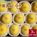 【ふるさと納税】桃（ 黄貴妃 ） 3kg 9〜12個 大玉 特