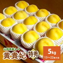 【ふるさと納税】 数量限定 桃 ( 黄貴妃 ) 5kg 13〜22個 大玉 特秀品 フルーツ 果物 お取り寄せ 贈答品 プレゼント ギフト 産地直送 送料無料 ...