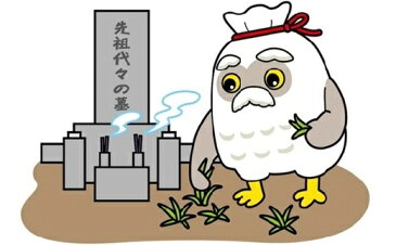 【ふるさと納税】お墓のお掃除代行 6平方メートル未満 上山市 お墓掃除 草刈り 代行サービス 15000円 山形県 0109-2201