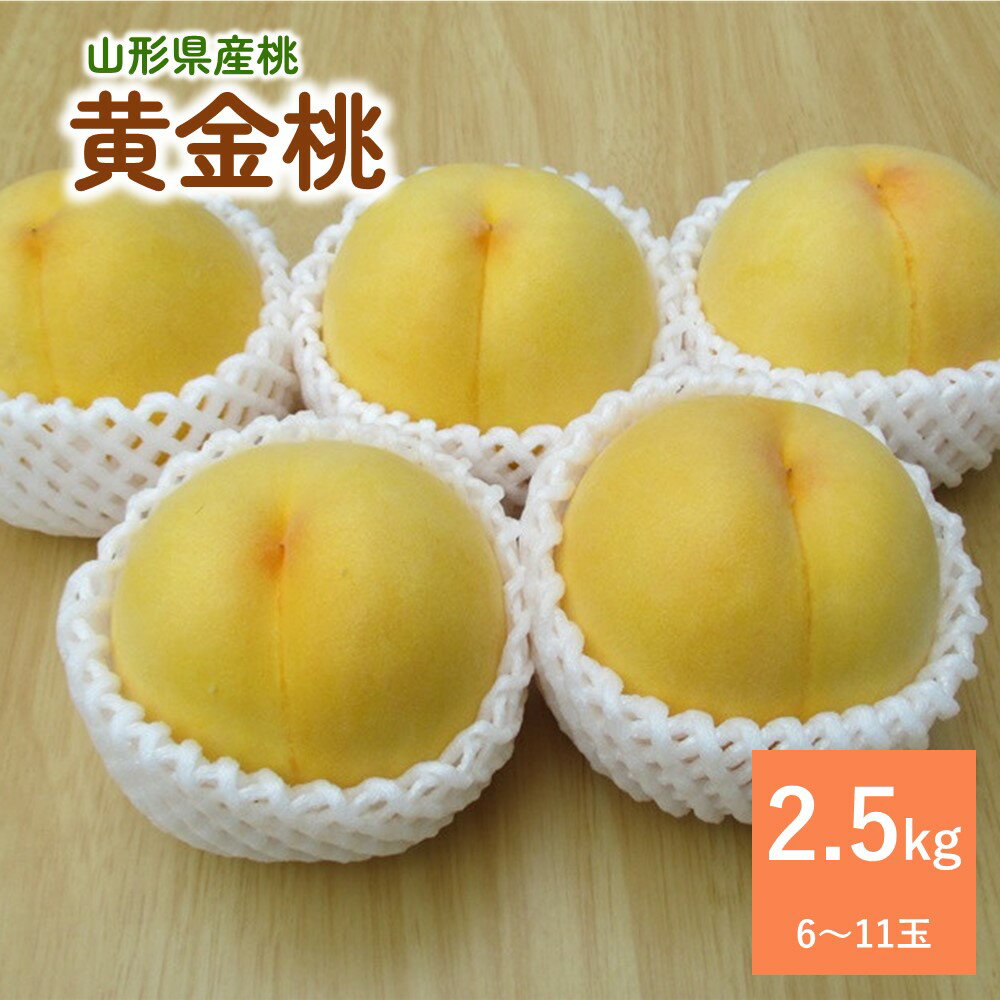 【ふるさと納税】桃 （ 黄金桃 ） 2.5kg 果物 フルー