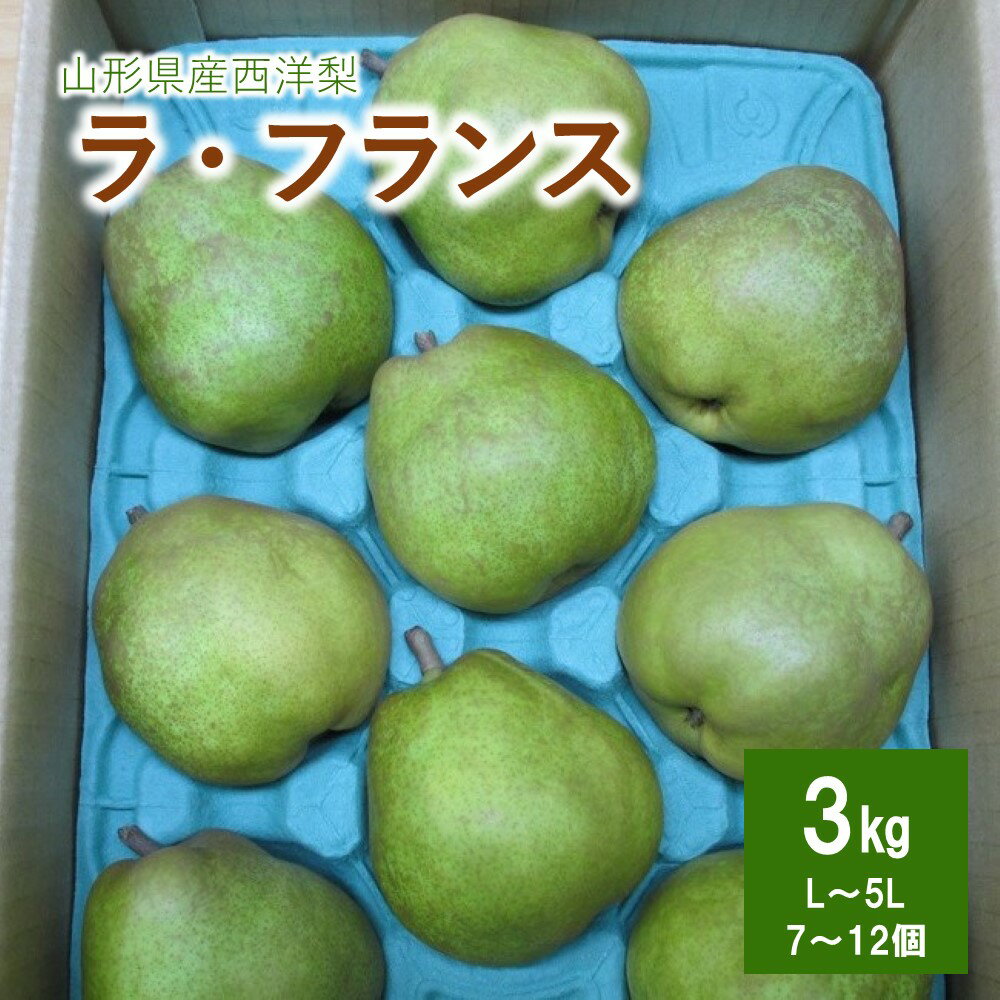 ラ・フランス 【ふるさと納税】西洋梨 （ラ・フランス） 3kg ご家庭用 果物 フルーツ 産地直送 山形 洋なし お取り寄せ 送料無料 山形県 上山市 0110-2408