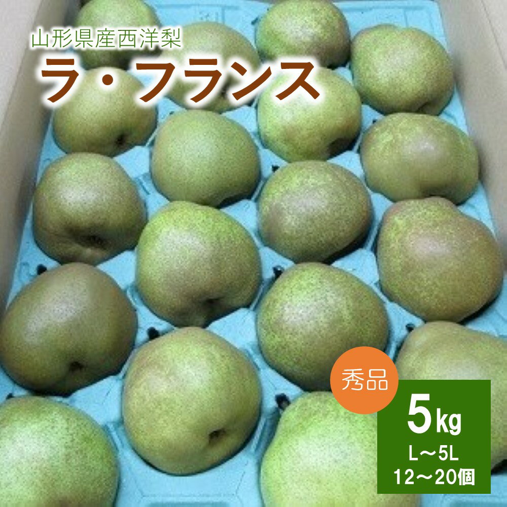 【ふるさと納税】西洋梨 （ラ・フランス） 5kg 果物 フルーツ 産地直送 山形 お取り寄せ 送料無料 山形県 上山市 0110-2411