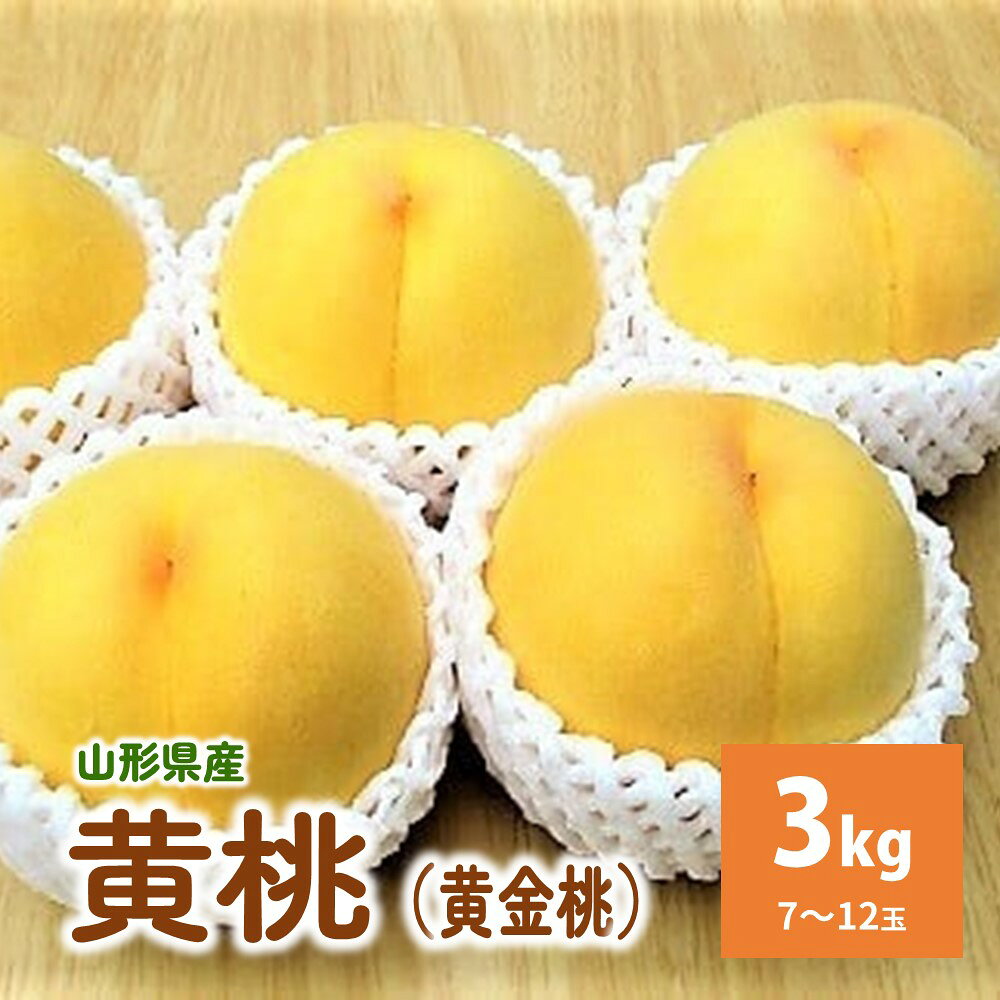 ڤդ뤵Ǽǡʲ3kg0110-2305