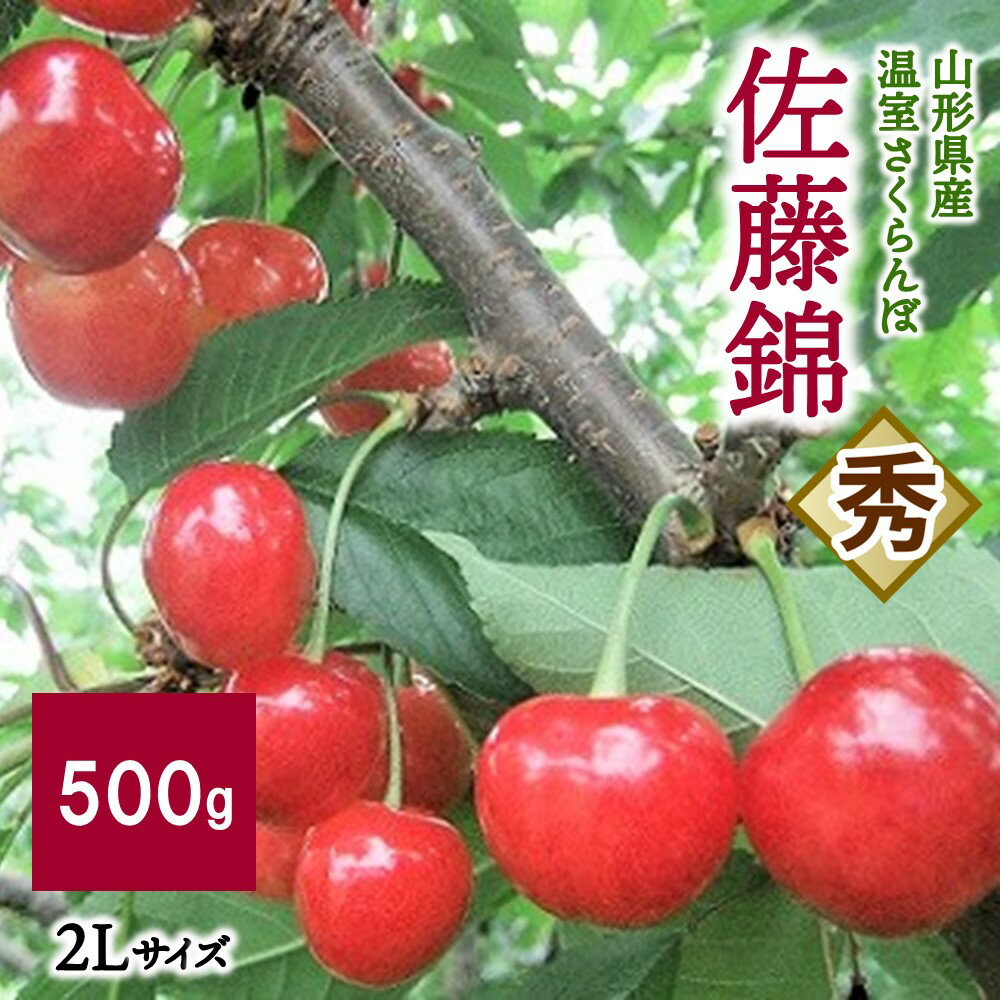 【ふるさと納税】 温室 さくらんぼ 佐藤錦 500g 2L サイズ 秀品 山形県 上山市 0112-2402