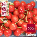 【ふるさと納税】 さくらんぼ 佐藤錦 500g Lサイズ以上