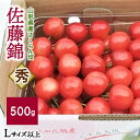 【ふるさと納税】 さくらんぼ 佐藤錦 500g 手詰め Lサ