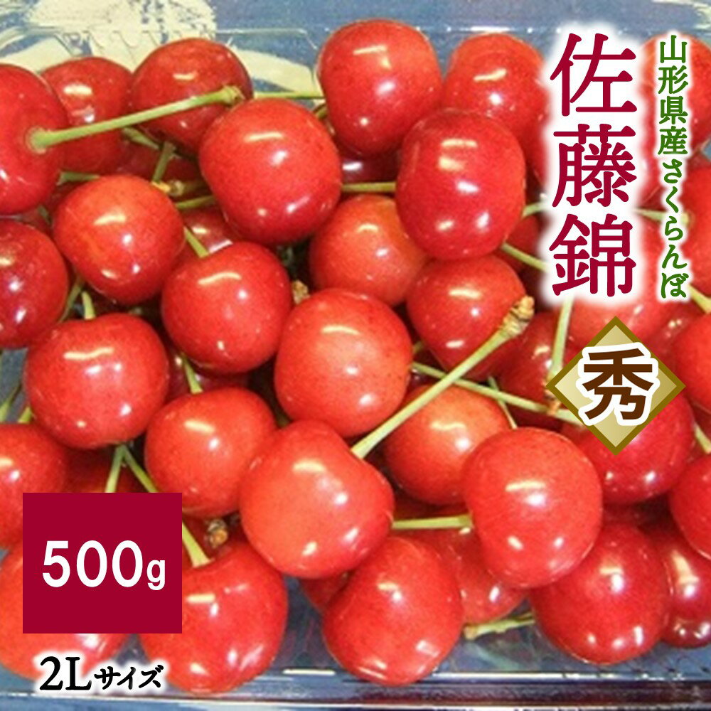 さくらんぼ 佐藤錦 500g 2L サイズ 秀品 フルーツ 果物 山形県 上山市 0112-2406