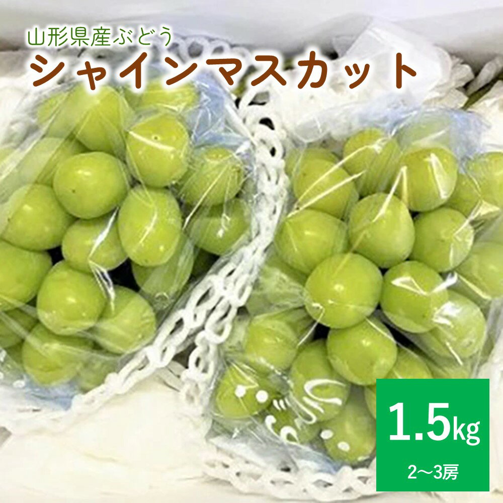 【ふるさと納税】ぶどう シャインマスカット 1.5kg 山形