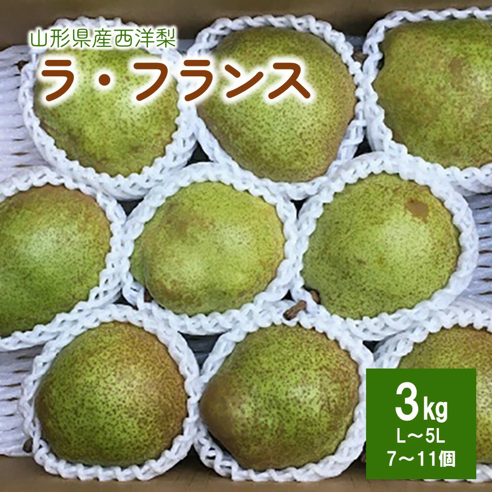 西洋梨 ( ラ・フランス ) 3kg 7～11個 5L～L サイズ ご家庭用 果物 フルーツ 洋梨 お取り寄せ 産地直送 送料無料 山形県 上山市 0134-2401