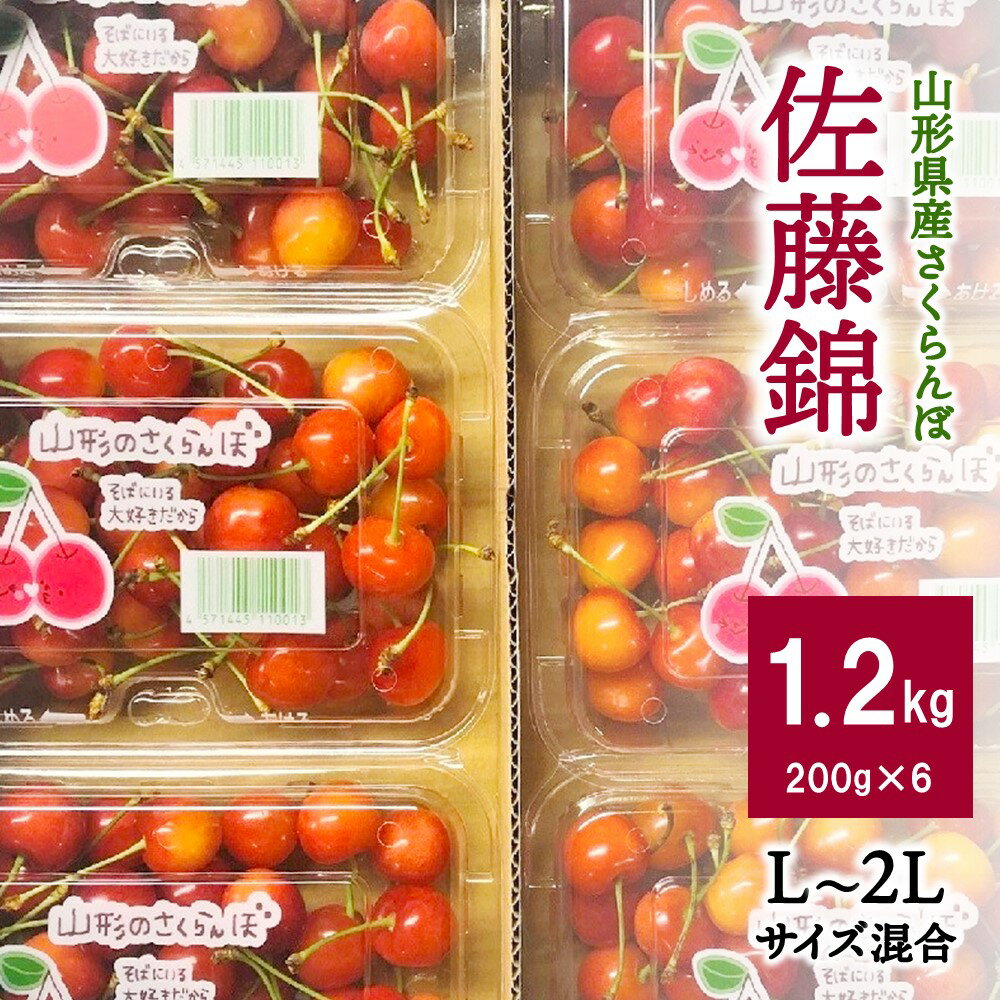 【ふるさと納税】さくらんぼ 佐藤錦 1.2kg 2L Lサイズ 混合 ご家庭用 小分け フルーツ 果物 お取り寄せ グルメ 冷蔵配送 送料無料 山形県 上山市 0137-2401