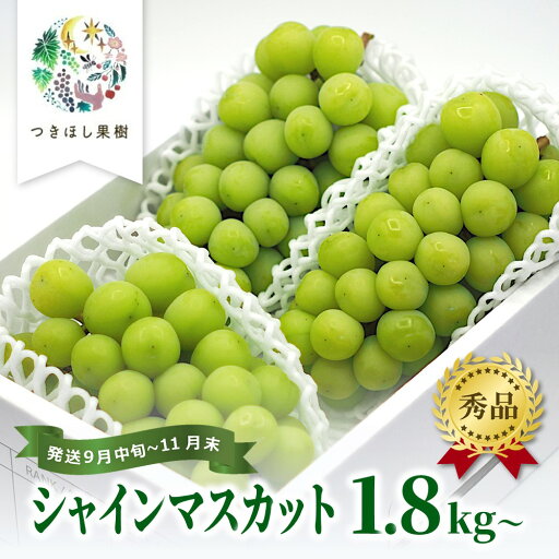 【ふるさと納税】上山産・絶品 シャインマスカット 1.8kg以上♪ 秀品 果物 フルーツ ぶどう お取り寄せ 山形 産地直送 送料無料 山形県 上山市 0140-2506 【ふるさと納税】上山産・絶品 シャインマスカット 1.8kg以上♪ 秀品 果物 フルーツ ぶどう お取り寄せ 山形 産地直送 送料無料 山形県 上山市 0140-2506