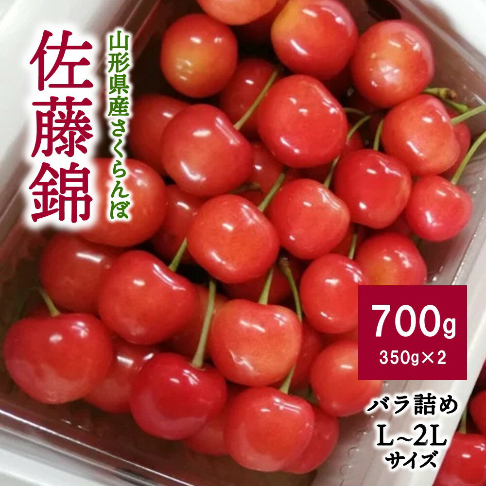 【ふるさと納税】さくらんぼ ( 佐藤錦 ) 700g ( 350g × 2パック ) ご家庭用 山形県 上山市 0140-2501