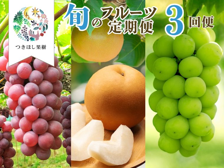 [ 定期便 :全3回]旬 の フルーツ 定期便 ( キングデラ 、 和梨 、 シャインマスカット ) 果物 ぶどう 梨 山形県 上山市