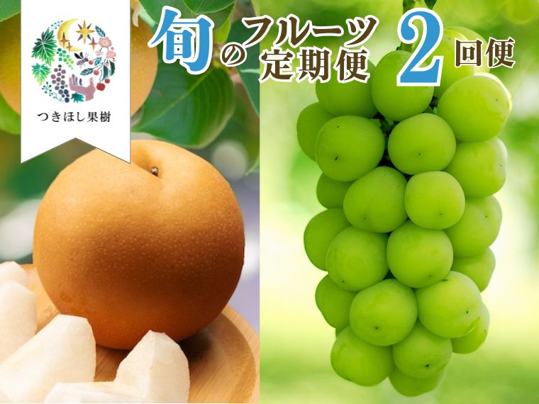 [ 定期便 :全2回]旬 の フルーツ 定期便 ( 和梨 、 シャインマスカット ) 果物 ぶどう 梨 山形県 上山市