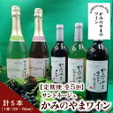 【ふるさと納税】【定期便：全5回】 サントネージュ かみのやまシリーズ 山形県 上山市 0141-2345