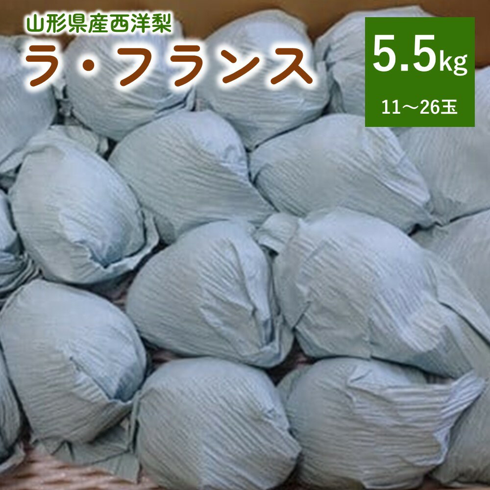 ラ・フランス 【ふるさと納税】西洋梨 （ラ・フランス） 5.5kg ご家庭用 サイズ混合 果物 フルーツ 産地直送 山形 洋なし お取り寄せ 送料無料 山形県 上山市 0142-2414