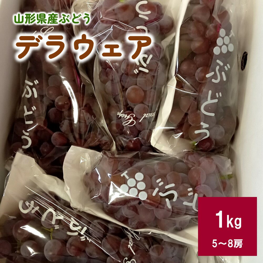 【ふるさと納税】 ぶどう ( デラウェア ) 1kg 秀品 5～8房 果物 フルーツ 産地直送 山形 お取り寄せ 送..