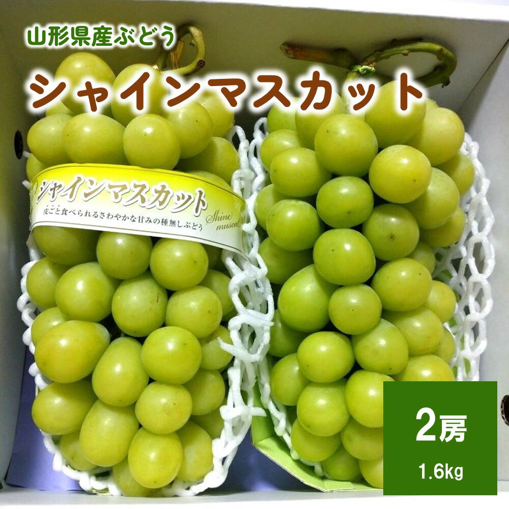 【ふるさと納税】 シャインマスカット 2房 (合計1.6kg以上) 秀品 果物 フルーツ ぶどう 産地直送 山形 お取り寄せ 送料無料 山形県 上山市 0142-2410