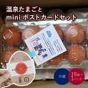 【ふるさと納税】【 かみのやま温泉 】温泉たまご とmini ポストカード セット 山形県 上山市 0145-2301