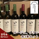 【ふるさと納税】【タケダワイナリー】ルージュ、ブラン 各3本セット 山形県 上山市 0147-2502