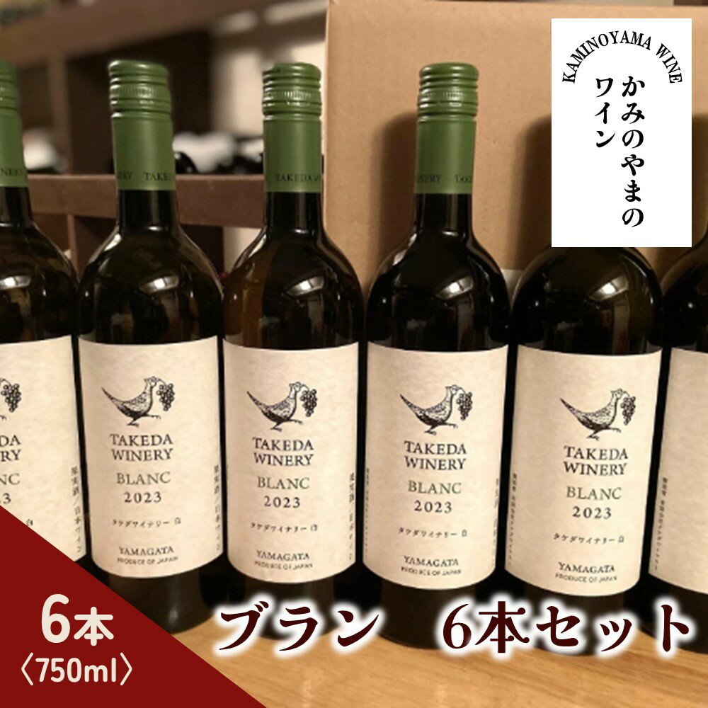 【ふるさと納税】【タケダワイナリー】ブラン 6本セット 山形県 上山市 0147-2503