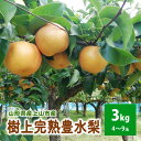 【ふるさと納税】【樹上完熟】 和梨 「豊水」 3kg 4~9玉 (直送便) 果物 フルーツ 和なし お取り寄せ 山形 産地直送 送料無料 山形県 上山市 0148-2503