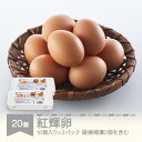 【ふるさと納税】自然平飼 紅輝卵 (10個入りパック×2) ※破損補償2個を含む 卵 たまご 半澤鶏卵 hk-egkkx20 送料無料 ※沖縄・離島への配送不可