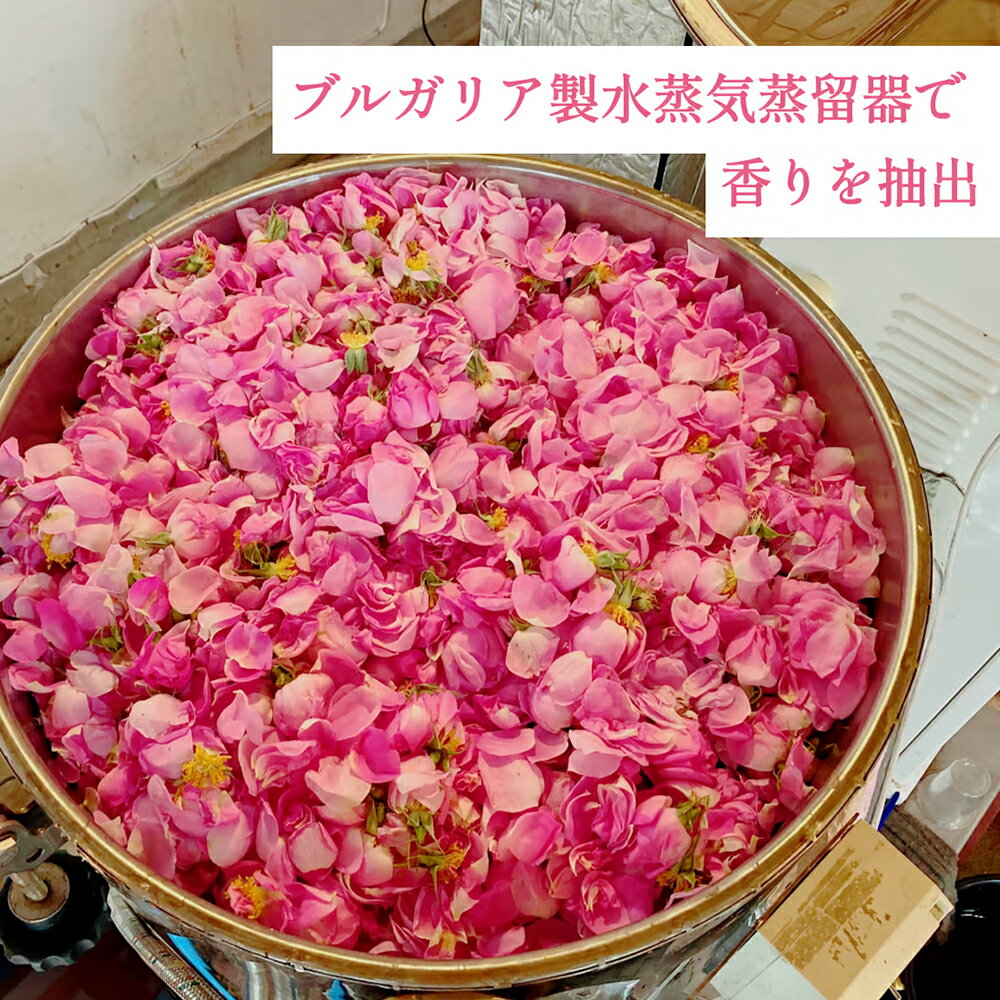 【ふるさと納税】ダマスクローズウォーター 250mL 2本セット 山形県村山市産 薔薇 バラ bj-rwxxx500